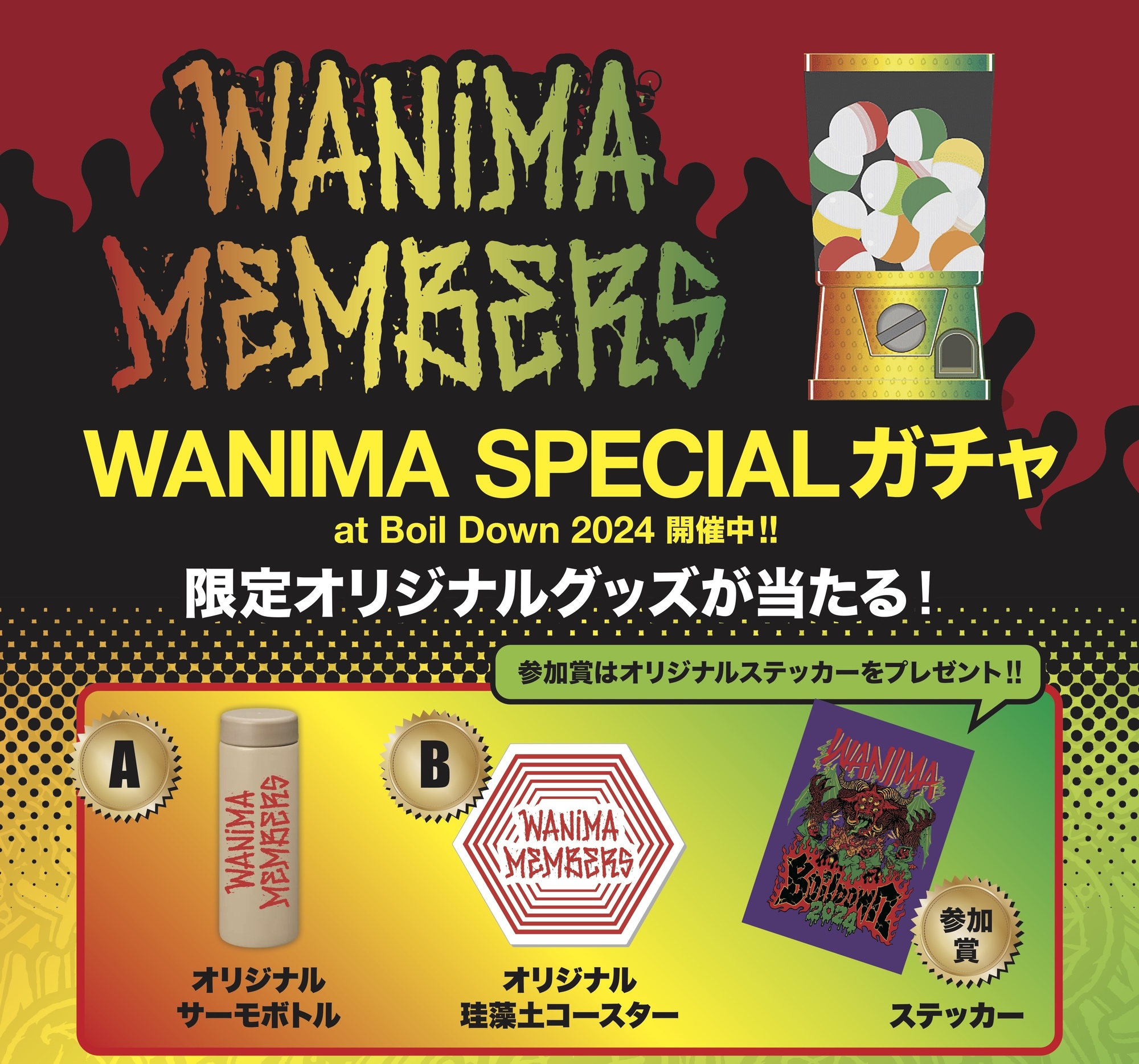 Boil Down 2024」会場にてWANIMA MEMBERSへキャンペーンを開催します!! | WANIMA