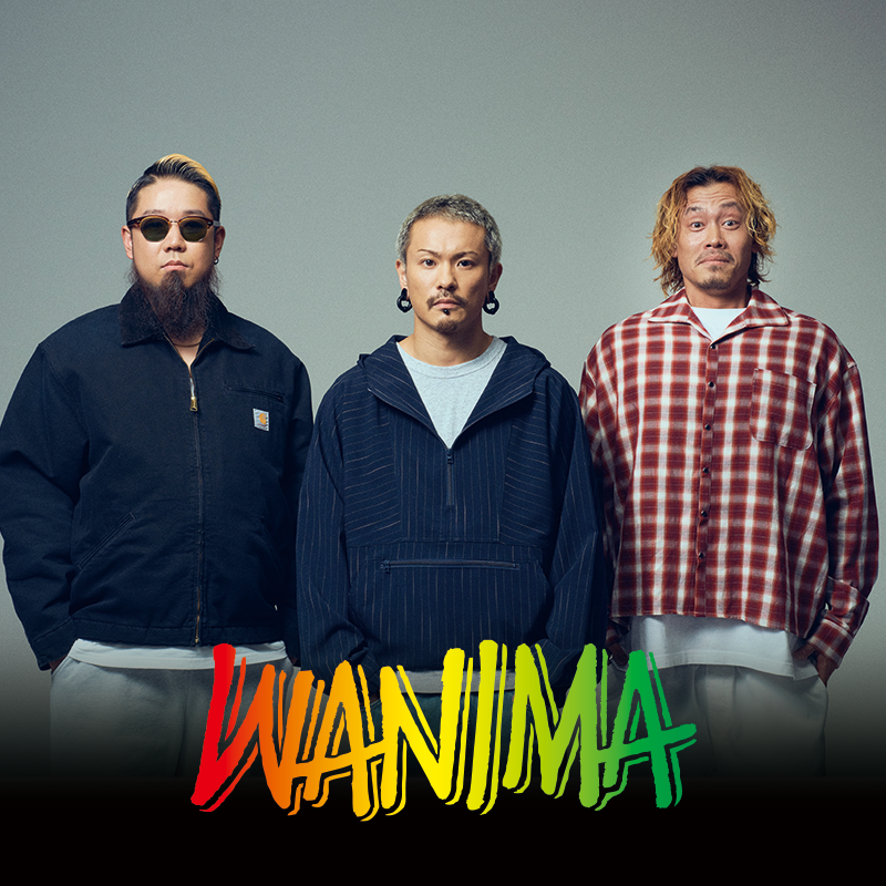 メイン画像SP260212